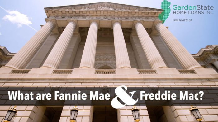 Fannie mae freddie mac