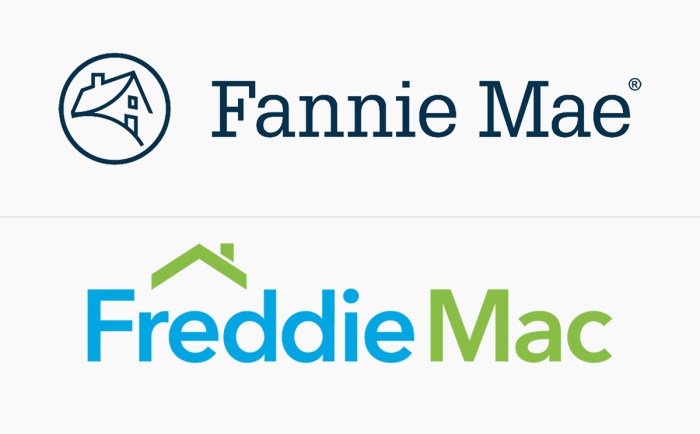 Freddie mac fannie actually