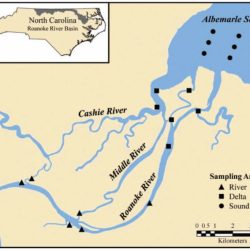 Lower roanoke river game land