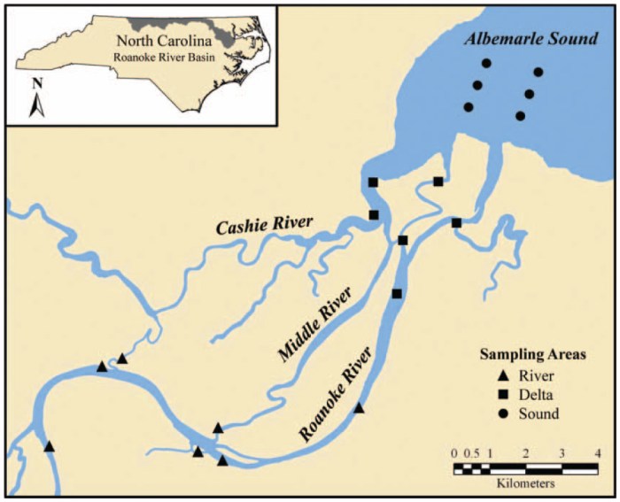 Lower roanoke river game land