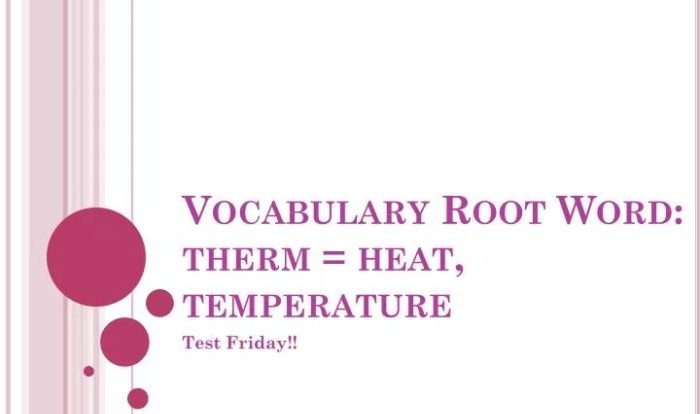 Words that begin with therm