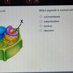 Which labels belong in the cells marked x and y