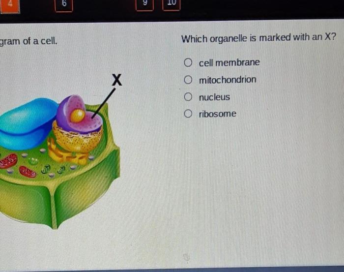 Which labels belong in the cells marked x and y