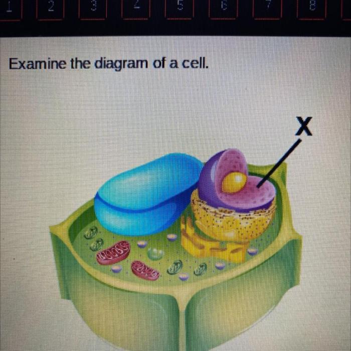 Which labels belong in the cells marked x and y