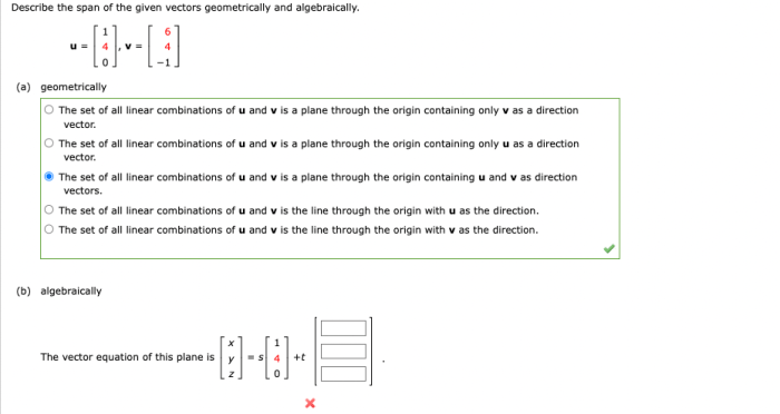 Describe the span of the given vectors geometrically and algebraically