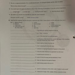 Correctly identify each lettered structure in the diagram