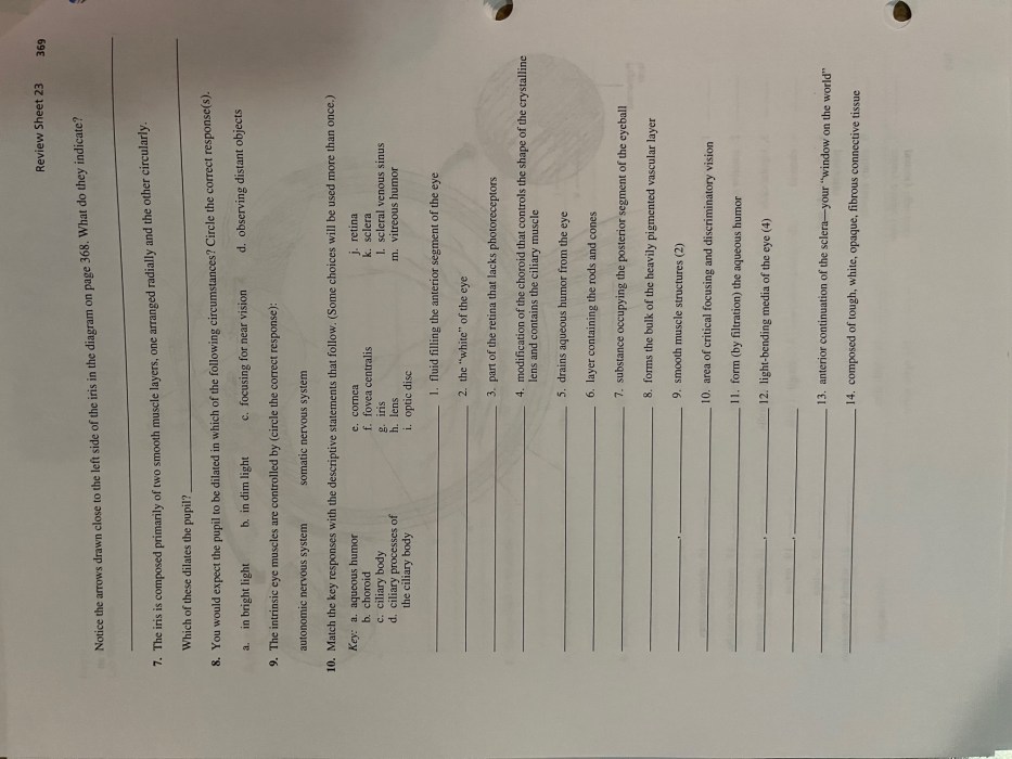 Correctly identify each lettered structure in the diagram