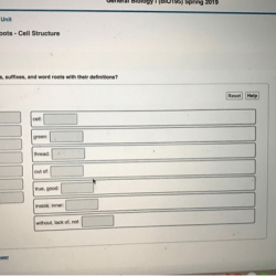 Building vocabulary word roots affixes and reference materials