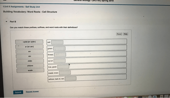 Building vocabulary word roots affixes and reference materials