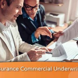 Bianca is an underwriter for a commercial insurance firm