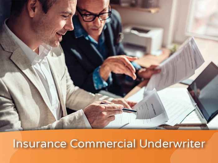 Bianca is an underwriter for a commercial insurance firm